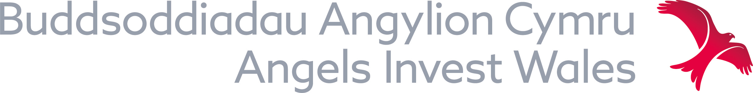 Angels Invest Wales