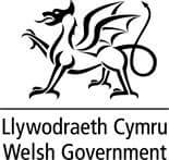 Healthcare Technology, Strategy and Innovation Division, Health and Social Services Group, Welsh Government