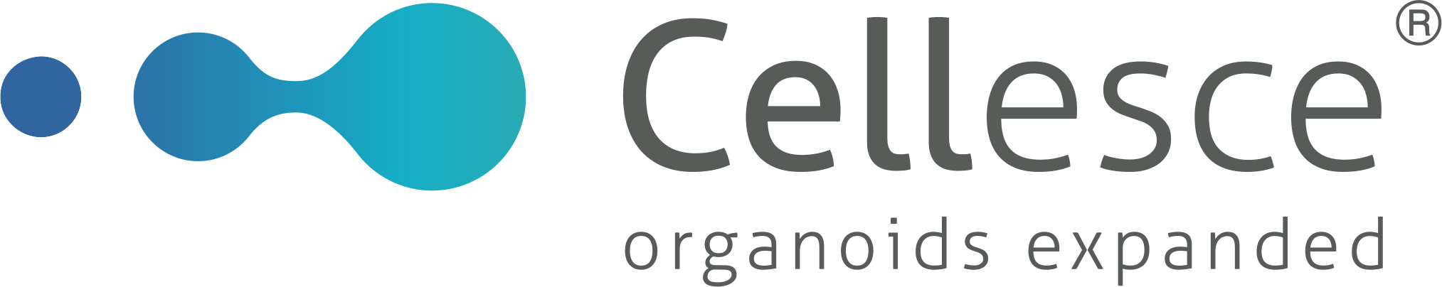 Cellesce Ltd